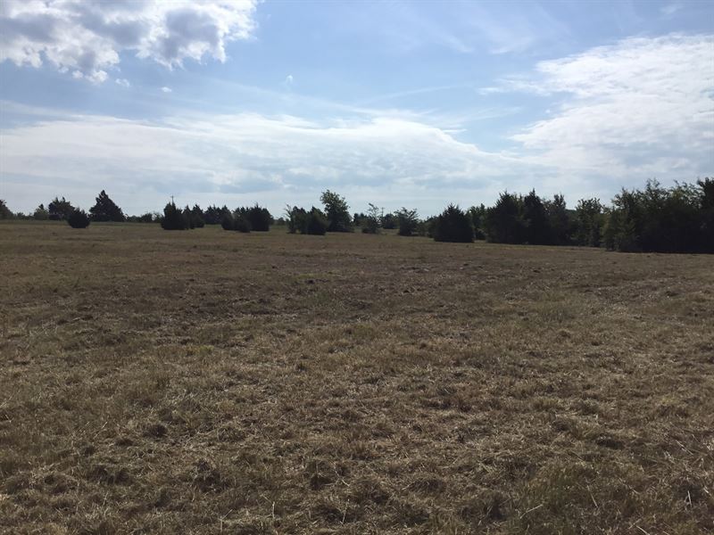 Land for Sale, Terrell, Texas, Farm for Sale in Texas, 209312 FARMFLIP