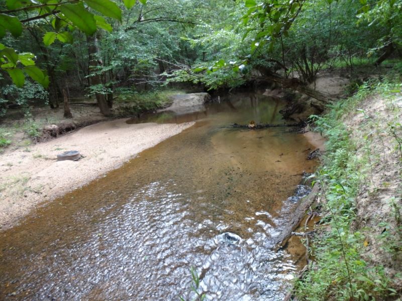 29 Acres To Build Mini Farm Farm for Sale in Piedmont, Greenville