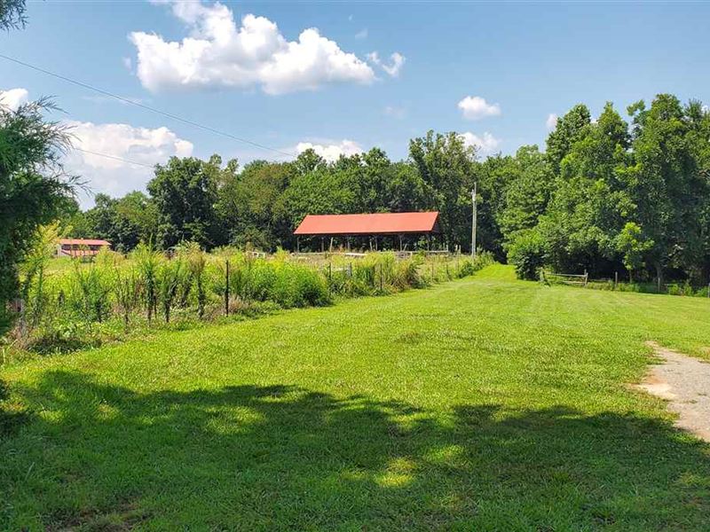 45.81 Acres in Ronda, Wilkes Co, Farm for Sale in North Carolina