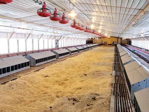South Carolina Poultry Farms For Sale Farmflip