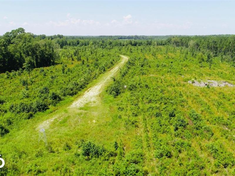 Pitt Meadow Branch Farm for Sale in Greenville, Pitt County, North