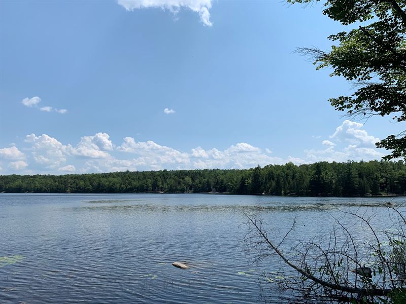 Lakefront Land Lots in Burlington, Farm for Sale in Maine, 209887