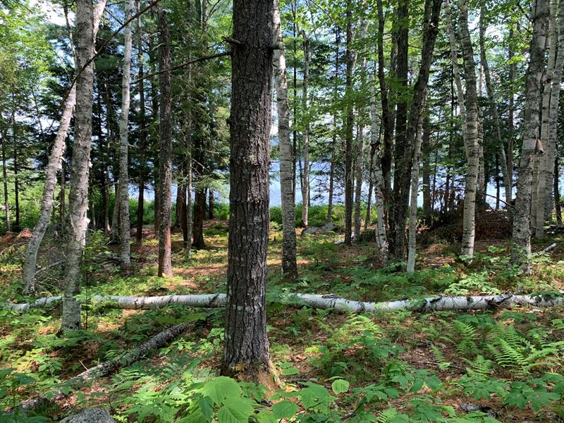 Lakefront Land for Sale in Maine : Burlington : Penobscot County : Maine