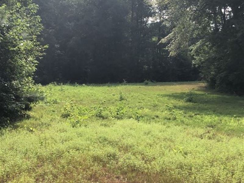 73 Acres Touching National Forest Farm for Sale in Plantersville