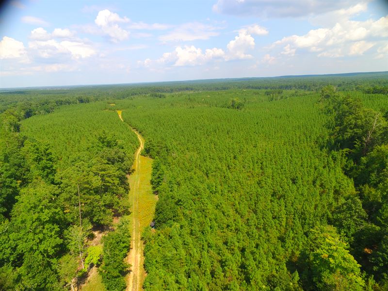Timber Land & Hunting Tract, Farm for Sale in 210075 FARMFLIP