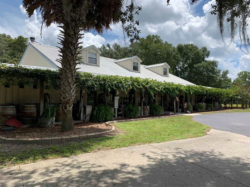 Event Venue, Business Opportunity, Farm for Sale in Florida, 210150
