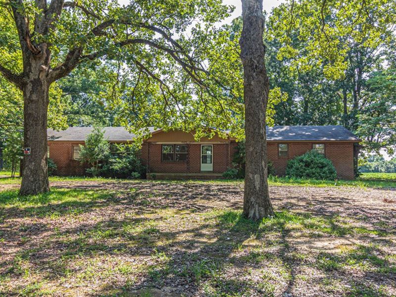 Country Home Acreage in Michie, TN Farm for Sale in Michie, McNairy