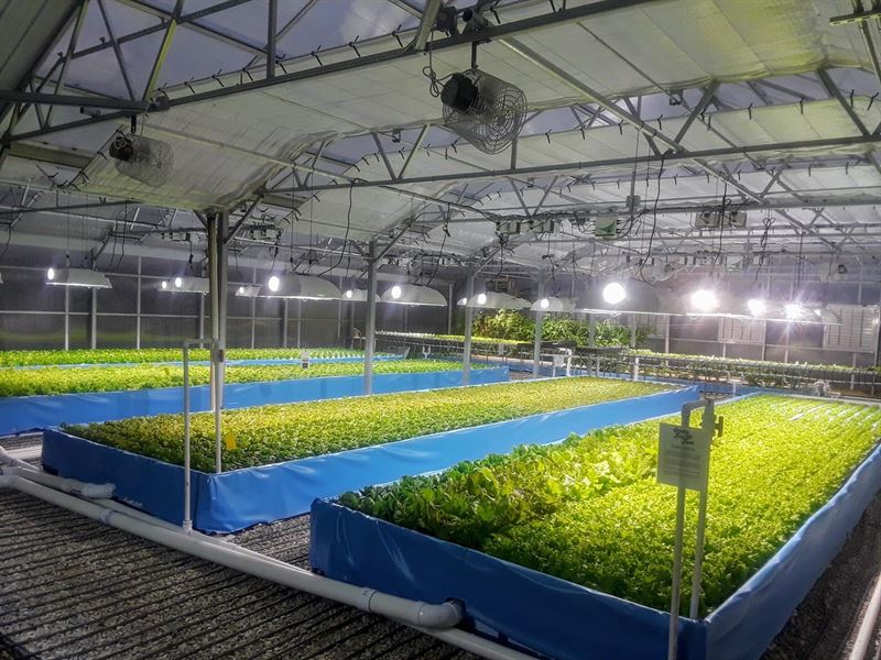 Aquaponic Greenhouse Business : Hampton : Hunterdon County : New Jersey