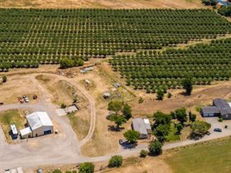 40 Acres Of Almonds 2 Homes : Winters : Solano County : California