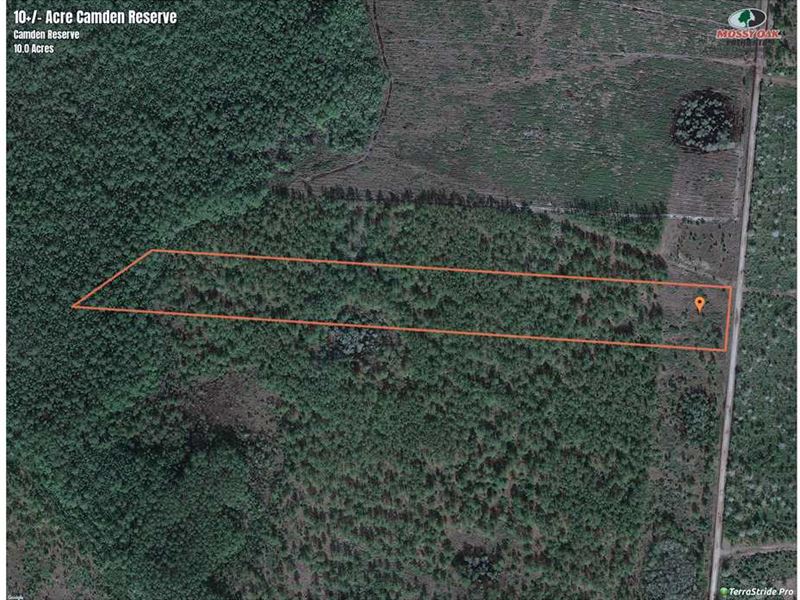 10 Acres Land for Sale Camden CO, Farm for Sale in 210544