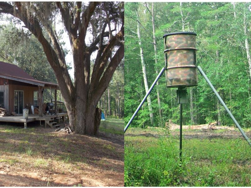 Pine Park, Cairo, Ga, Farm for Sale in 210674 FARMFLIP