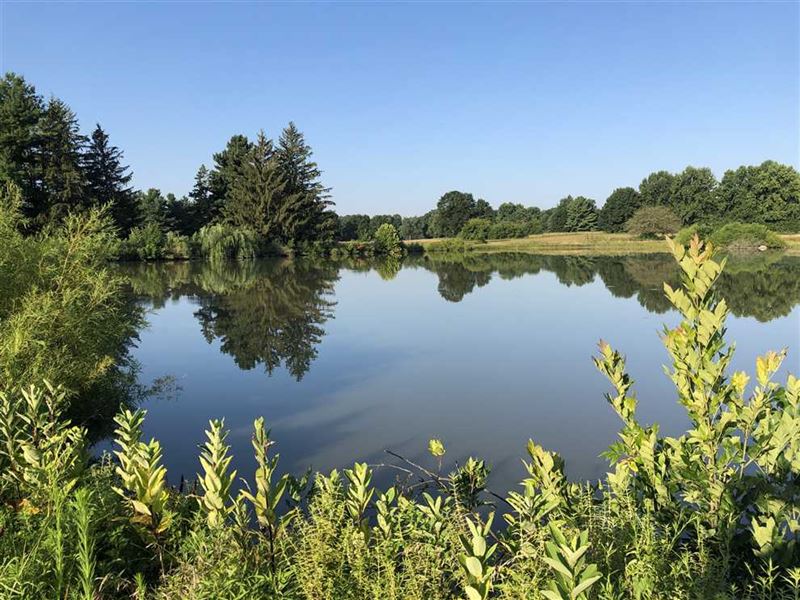 345 Private Acres, Land for Sale, Farm for Sale in Indiana, 210811