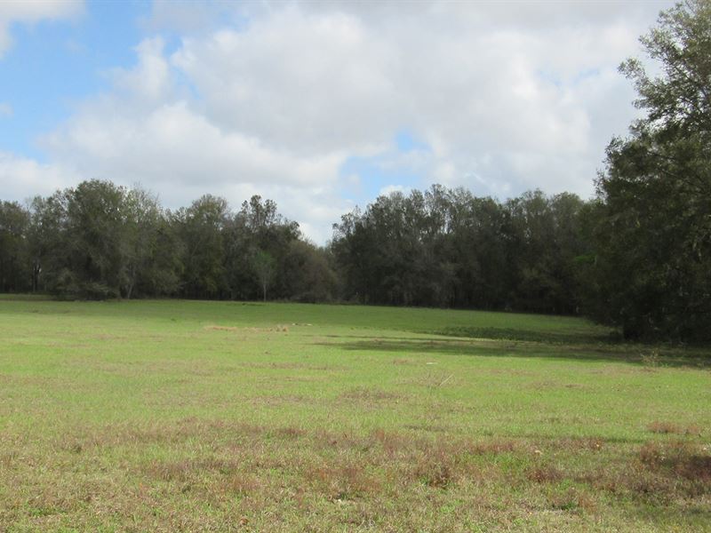 Marion County Ranch & Development : Citra : Marion County : Florida