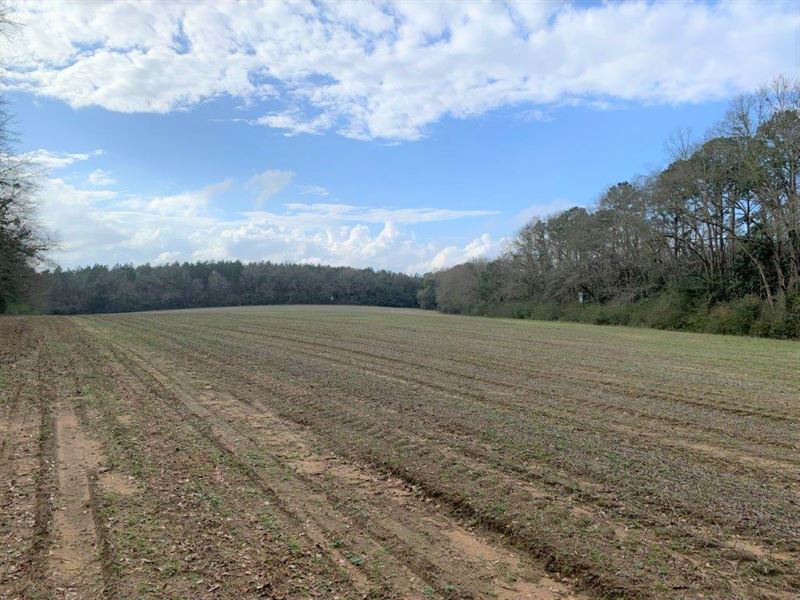 Farm, Home, Creeks Near Opp, Farm for Sale in Alabama, 210860 FARMFLIP