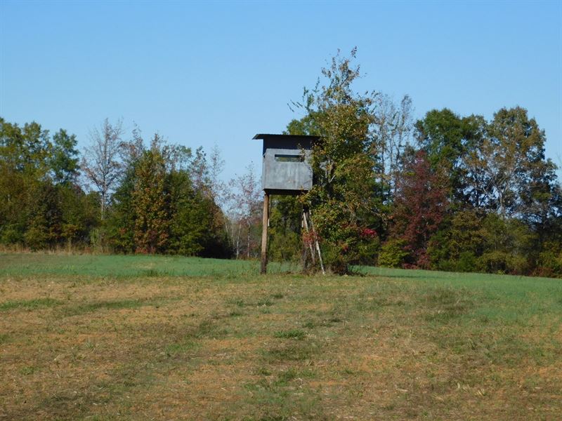 Land For Sale Farm for Sale in Michie, McNairy County, Tennessee