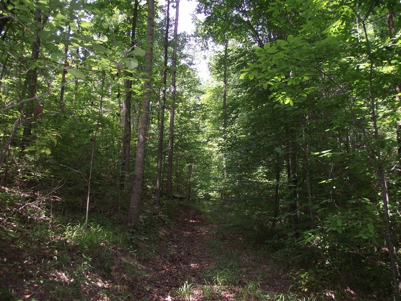 Wooded Land For Sale Farm For Sale In Tennessee 210965 FARMFLIP wooded-land-for-sale-farm-for-sale-in-tennessee-210965-farmflip