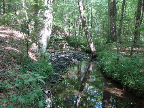 Farm Land For Sale Shelby County Alabama / Listings In Shelby County Southeastern Land Group : View photos, research land, search and filter more than 321 listings | land and farm.