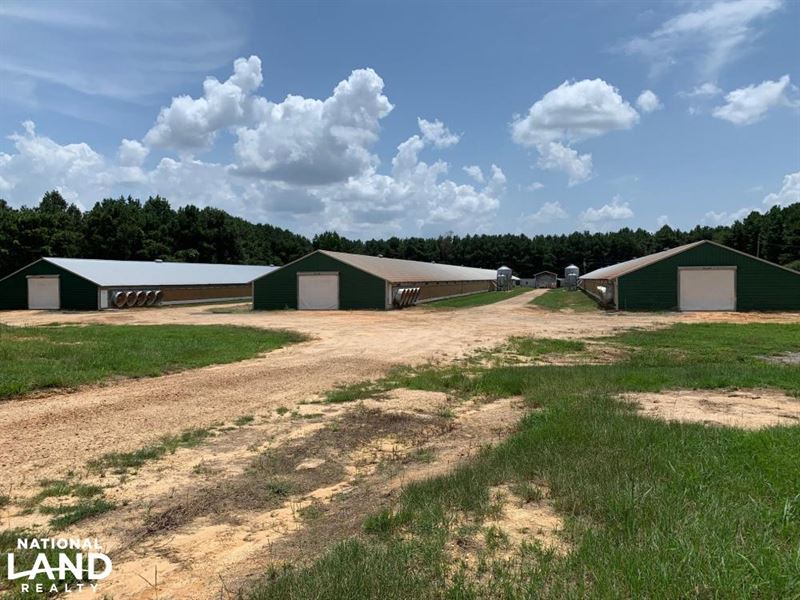 Chicken Farm Near Mize, Mississippi : Mize : Smith County : Mississippi