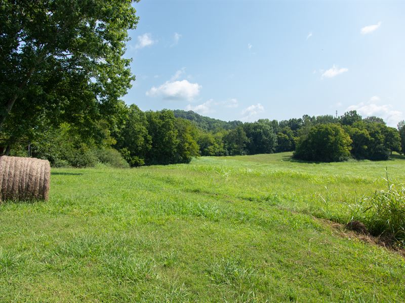116 Acre Family Farm Farm for Sale in Columbia, Maury County, Tennessee 211175 farmflip