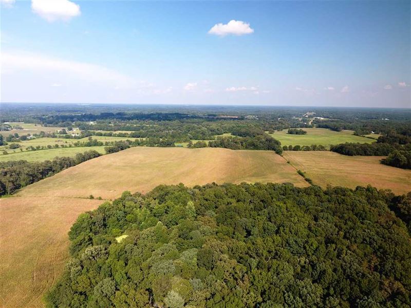 103 Acres of Row Crop Land for Sal, Farm for Sale in Alabama, 211211