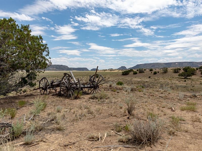 Ranch 8 Miles North Quemado NM, Farm for Sale in New Mexico, 211264