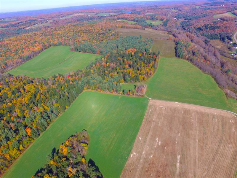 Land For Sale Farm for Sale in Bainbridge, Chenango County, New York