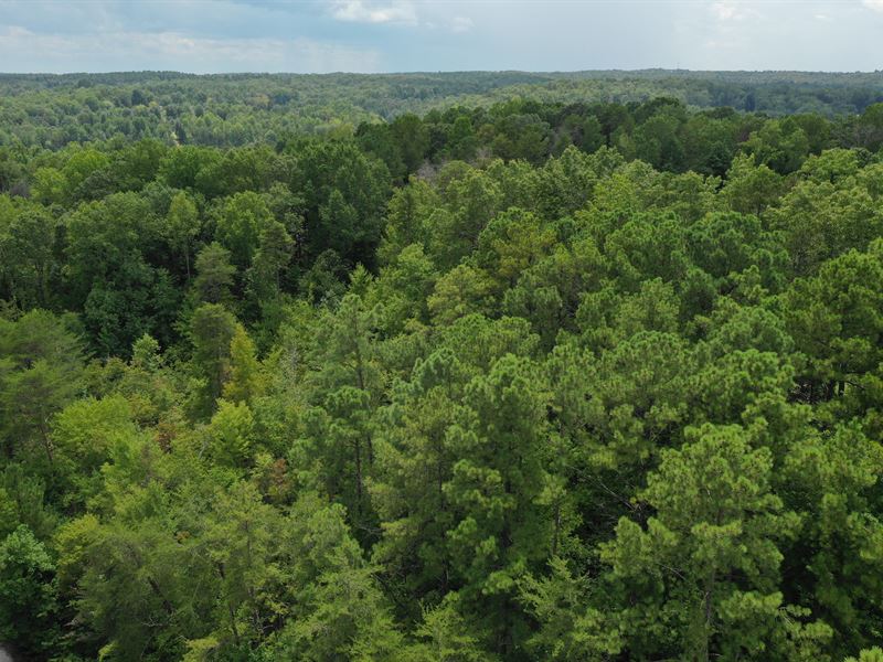 Wooded Acreage : Seneca : Oconee County : South Carolina