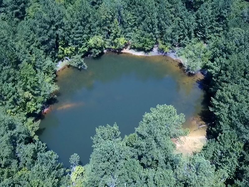 124.246+ Acres Bartow County A1, Farm for Sale in 211332