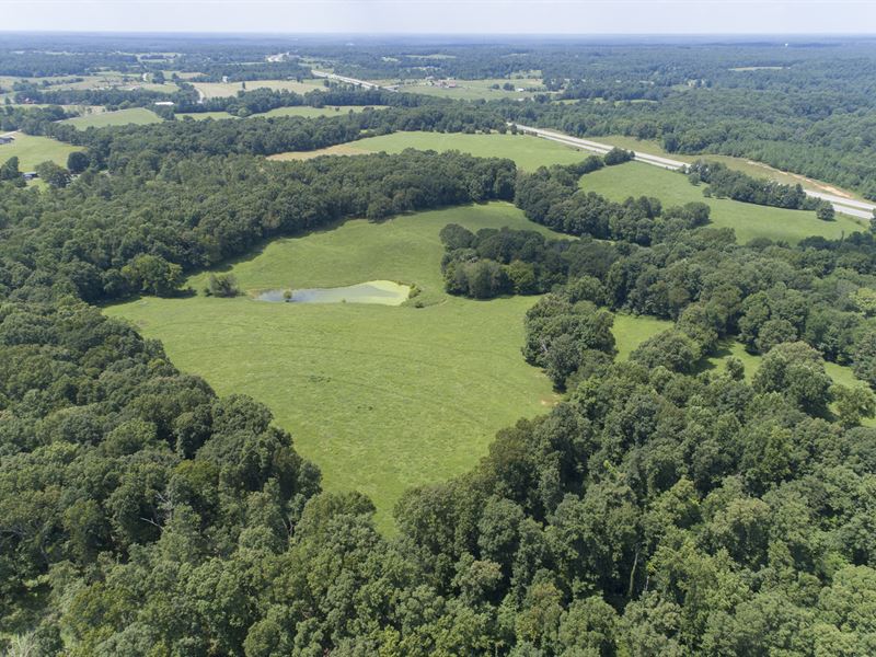 Amazing 80 Acre Farm in Williamson, Farm for Sale in Tennessee, 211353