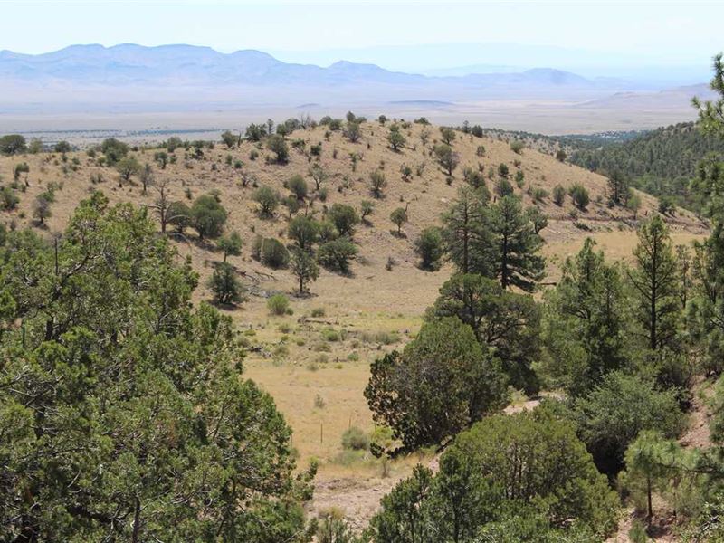 Rosedale Mine Price Reduced : Magdalena : Socorro County : New Mexico