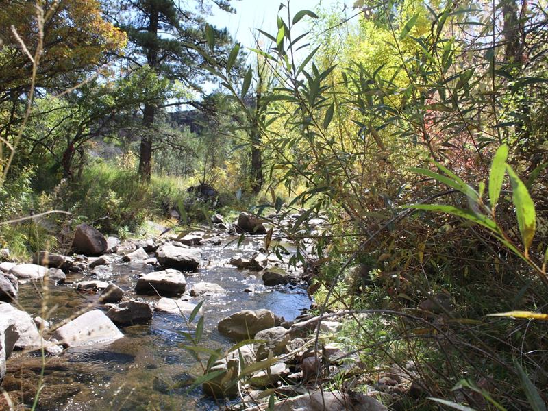 St. Charles River Ranch : Beulah : Pueblo County : Colorado