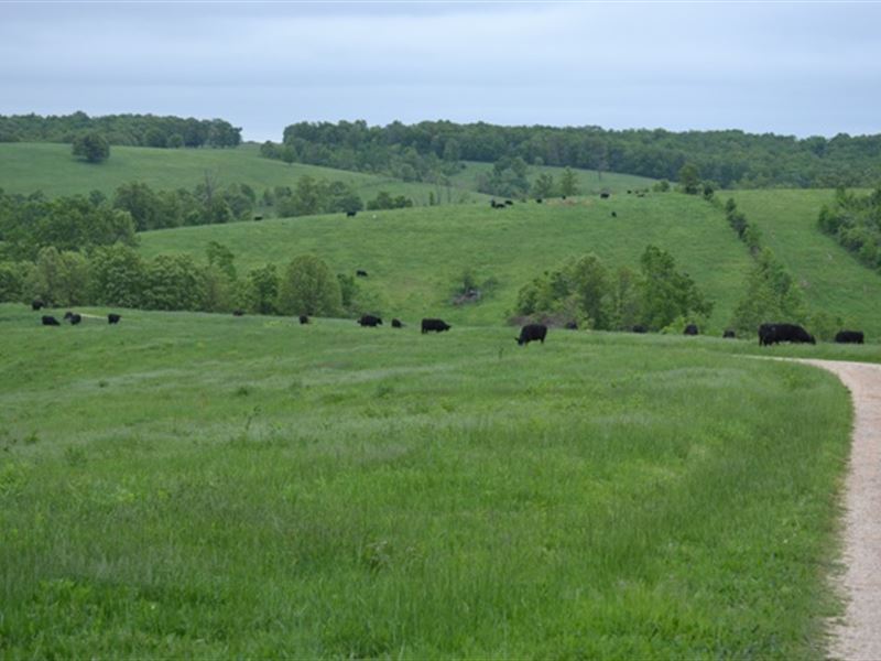 Missouri Cattle Ranch for Sale : Grovespring : Wright County : Missouri