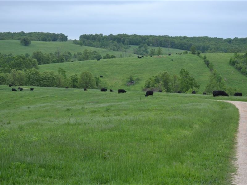 Missouri Cattle Ranch For Sale Farm for Sale in Grovespring, Wright