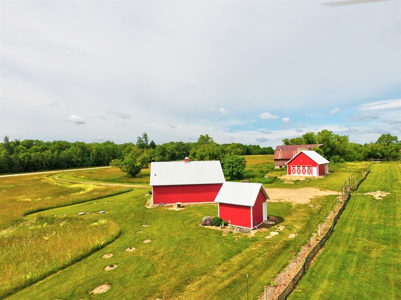 UPick Blueberry, Raspberry Farm, Farm for Sale in Minnesota, 211528