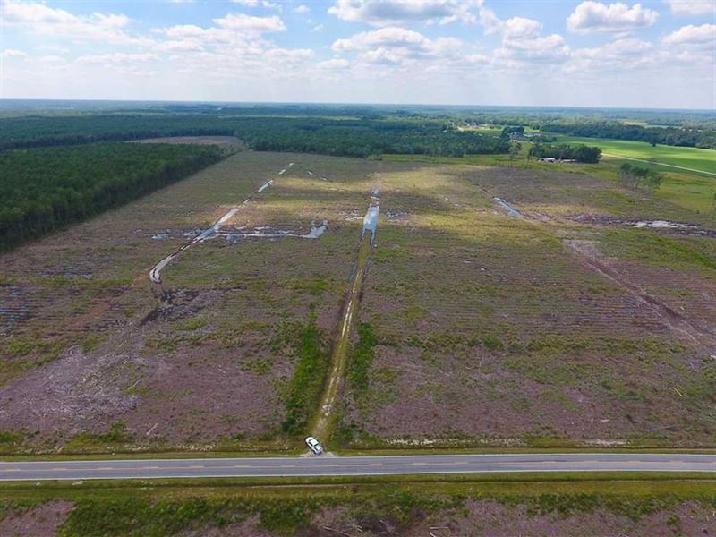150 Acres of Cut Timber Land, Farm for Sale in North Carolina, 211634