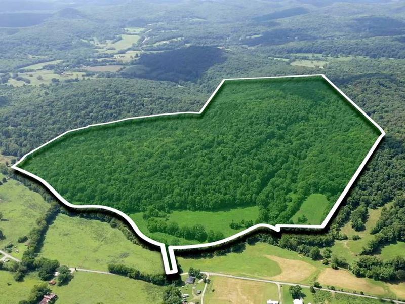 Price Reduced 50K.116 Acres Farm for Sale in Watertown, Wilson County