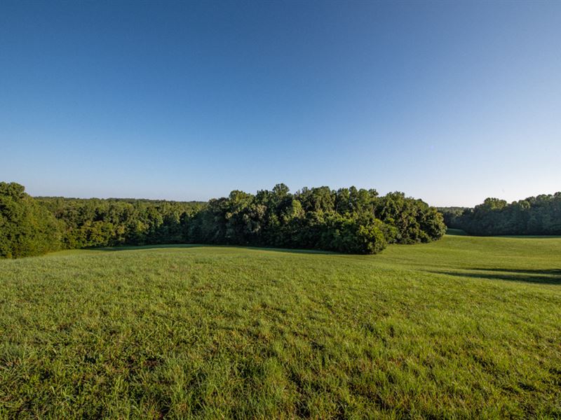 Towering Hardwoods & Hay Fields, Farm for Sale in North Carolina