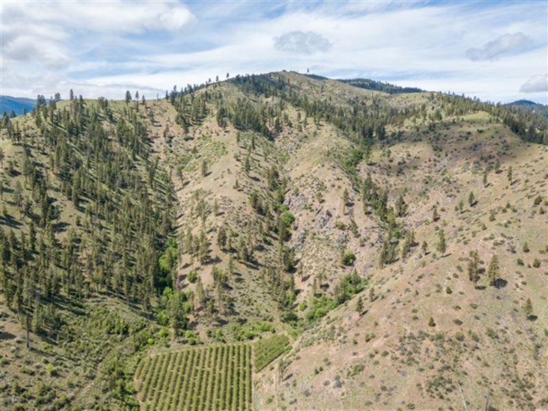 66.70 Acres in Entiat, WA Farm for Sale in Entiat, Chelan County