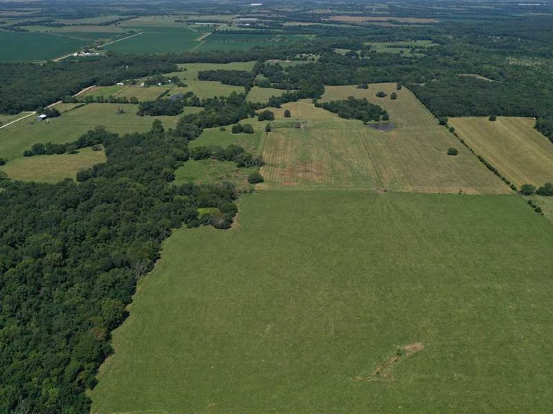 Pristine 170+/, Acre Cattle Farm Farm for Sale in Green Ridge, Pettis County, Missouri