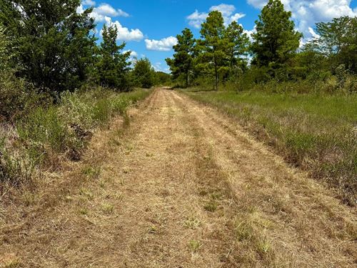 Beautiful 62 Acres Adjoining Wma : Paris : Lamar County : Texas