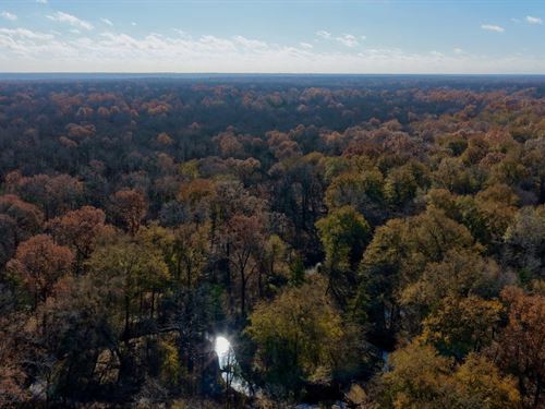 The Sanctuary, 62 Acres Adjoinin : Paris : Lamar County : Texas