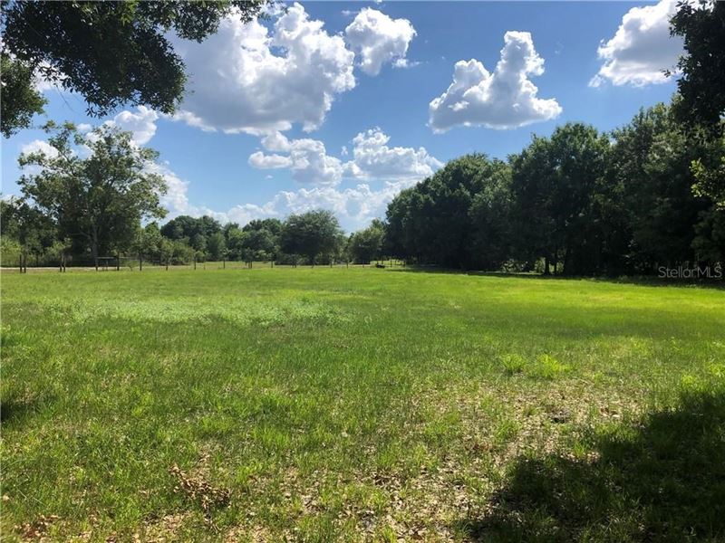 Five 5 Acre Homesite Arcadia, FL Farm for Sale in Arcadia, Desoto