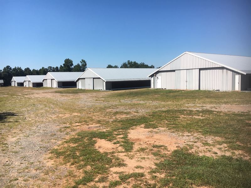 Clem Farm, 5 Pullet Poultry Houses, Farm for Sale in 212451