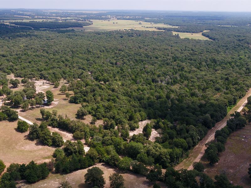Ultimate Recreational Property : Milano : Milam County : Texas