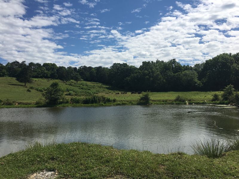 Willow Creek Farm, Farm for Sale in Virginia, 212499 FARMFLIP