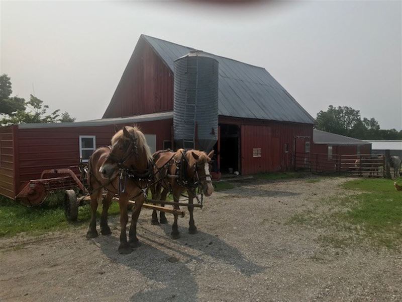 Country Setting, Amish Touch, Farm for Sale in Missouri, 212551 FARMFLIP