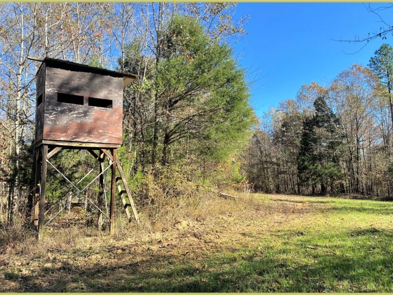 155 Acres With A Cabin In Montgomer Farm for Sale in Duck Hill, Montgomery County, Mississippi