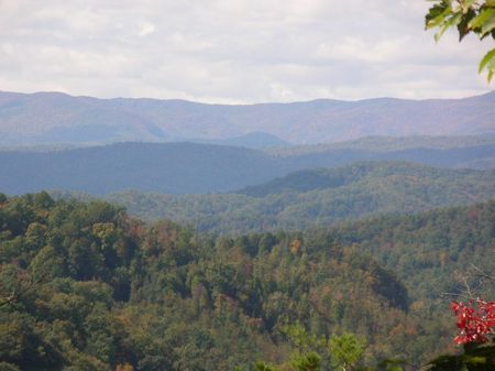 Fork Mountain - 668 Acres : Blowing Rock : Caldwell County : North Carolina