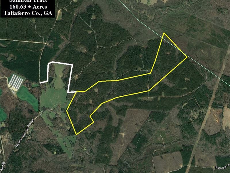 Samdan Tract : Crawfordville : Taliaferro County : Georgia