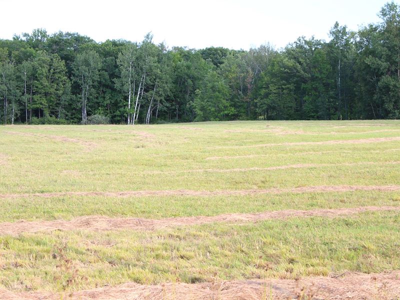 20 Acres Land Mille Lacs County, Farm for Sale in Minnesota, 212695